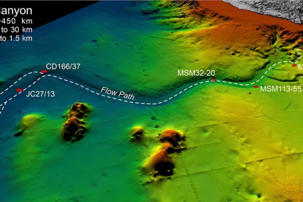 submarine landslide occurred in the submarine Agadir Canyon