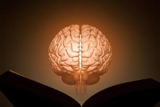 Brains Work When We Read Books