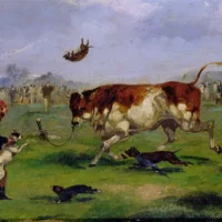 Bull-baiting in the 19th century, painted by Samuel Henry Alken.