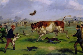 Bull-baiting in the 19th century, painted by Samuel Henry Alken.