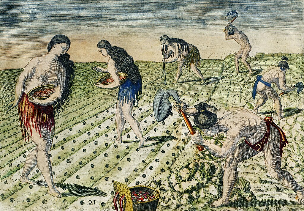 Florida Indians sowing corn