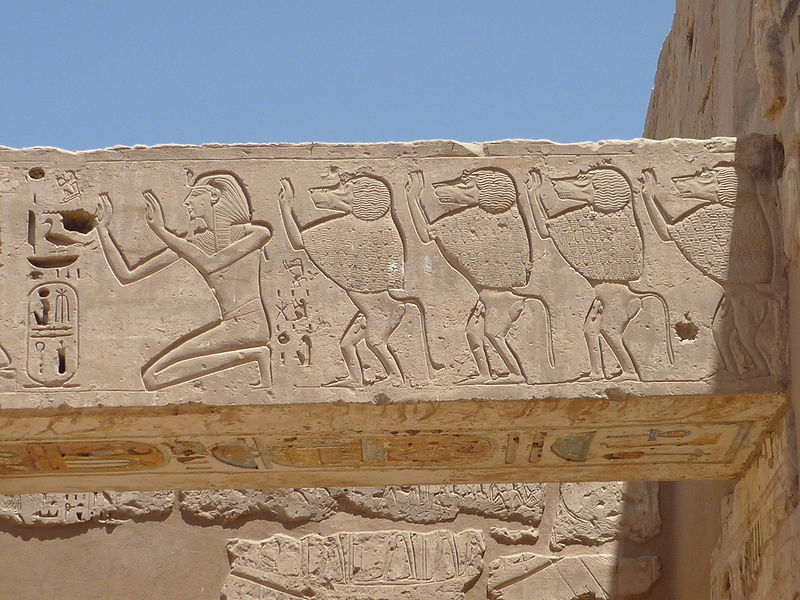 Wall relief of Ramses III and baboons, mortuary temple of Ramses III, Medinet Habu, Theban Necropolis, Egypt