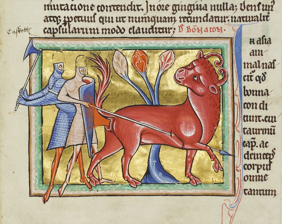 The Ashmole Bestiary, ca. 1225, Bodleian Library, MS. Ashmole 1511, f. 18r