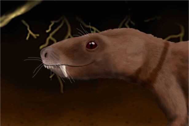 Life restoration of Trirachodon berryi.