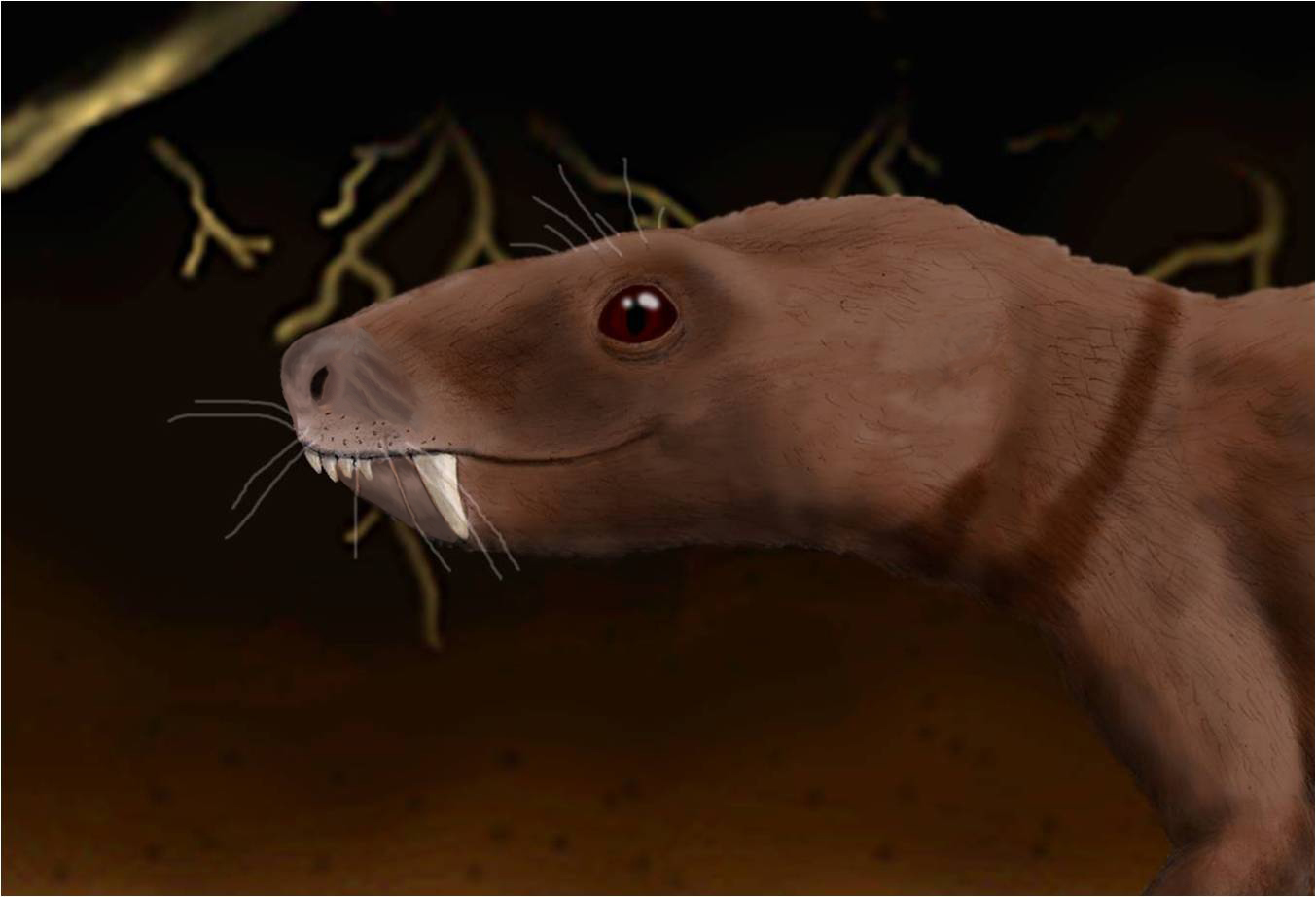 Life restoration of Trirachodon berryi.