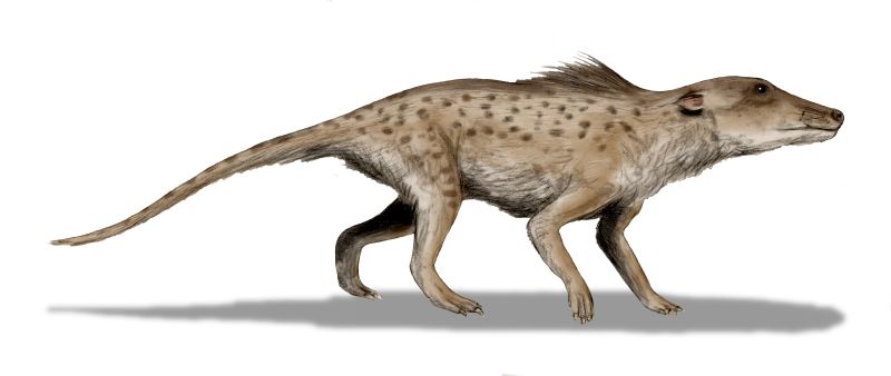 P. inachus life restoration