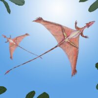 Sharovipteryx