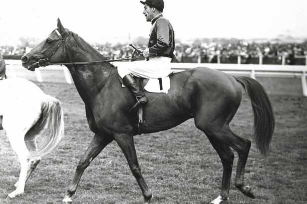 Russia, 1946 winner