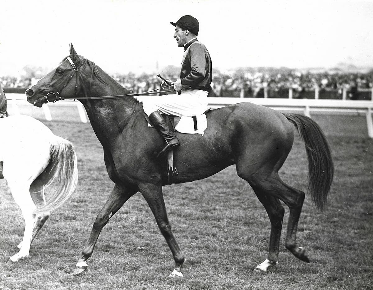 World’s Most Prestigious Horse Races