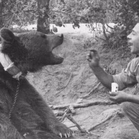 Wojtek, the Soldier Bear